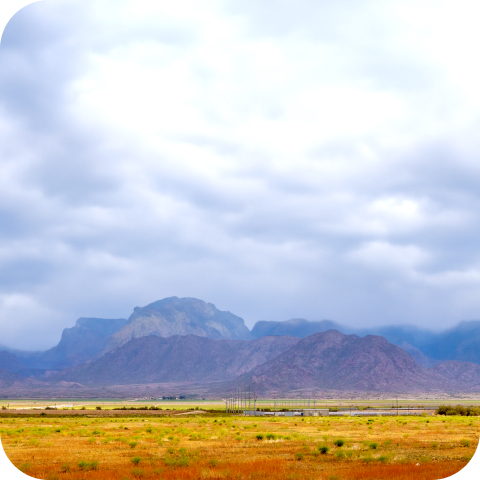 Pump Distributor Texas